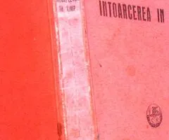 Intoarcerea in timp, Ionel Teodoreanu