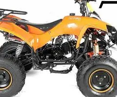 Atv 125Cc Warrior Deluxe Semiautomat/Roti De 8”