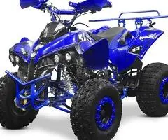 Atv 125Cc Pro Renegade Edition Semiautomat/Roti De 8”