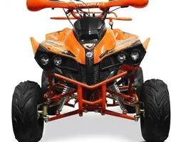 Atv 125Cc Renegade Sport Automat/Roti De 7”