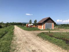 Lichidator judiciar vand ferma bovine - Satu Mare