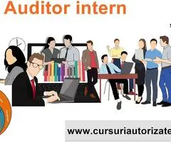 Curs online Auditor intern