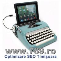 Optimizare SEO Timisoara, promovare site-uri