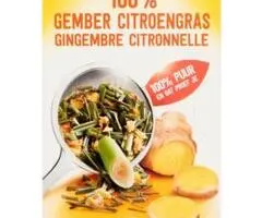 Zonnatura Ceai BIO Ghimbir si LemonGrass Total Blue