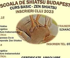 Curs baza shiatsu zen sibiu, alba iulia, cluj