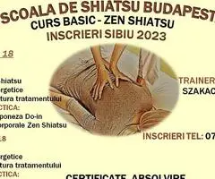 Curs baza shiatsu zen sibiu, alba iulia, cluj