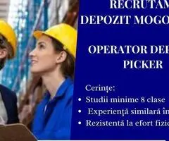 Operaor Depozit / Picker - Mogosoaia