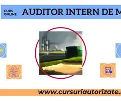 Curs online Auditor Intern de Mediu