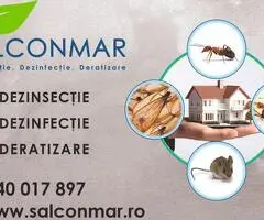 Contracte prestări servicii D.D.D. începînd de la 35 lei/lună