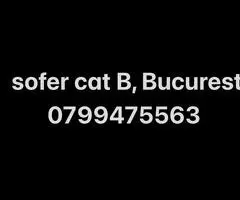 sofer cat B solicit job/colaborare pt Bucuresti