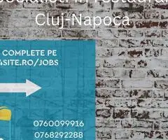 Meseriasi și ingineri pentru proiecte de restaurare în Cluj