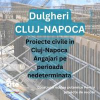 Dulgher în Cluj-Napoca