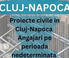 Dulgher în Cluj-Napoca