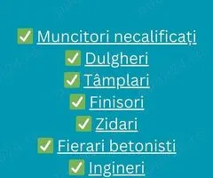 Nu rata șansa unui nou început profesional după sărbători!