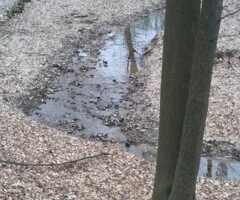 Vand teren cu pădure, Balesti,  langa Targu Jiu